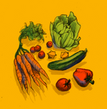 Plants de légumes